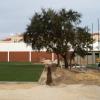 080227_Academia07
