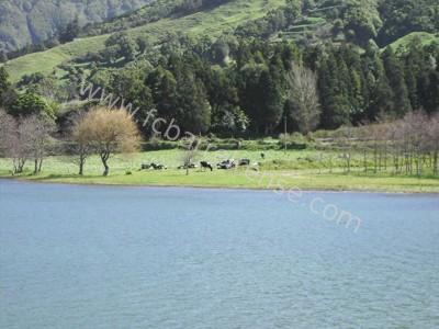PICT1583_1