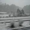 PICT1054_1