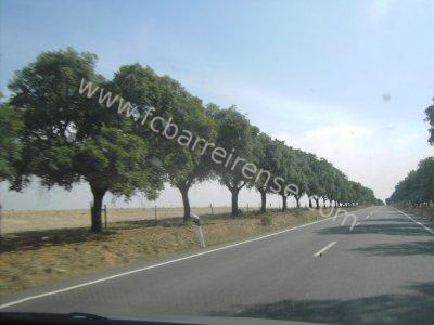 foto01