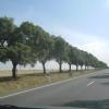 foto01