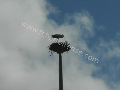 castrense_barreirense09