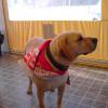 castrense_barreirense08