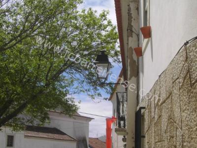 adeptos40