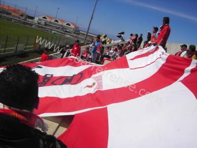 adeptos50