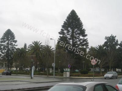 electrico_ponte_de_sor_-_barreirense_3_20130124_1152666199