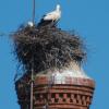 esp_lagos_x_barreirense_29_20140409_1952300206
