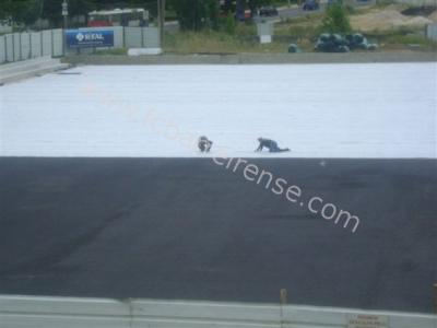 Obras_Campo_Verderena_Colocacao_Plastico_antes_Relva_Sintetica_26_5_2011_Foto_2