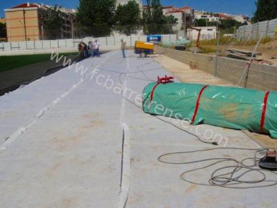 110602_campo_verderena03