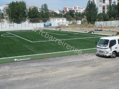 110616_campo_verderena00.jpg