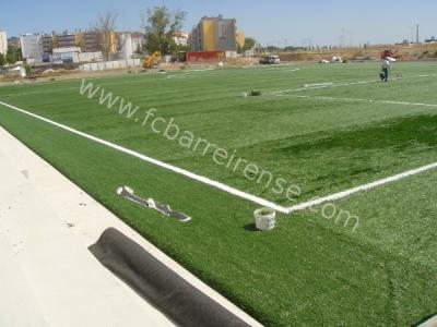 110616_campo_verderena08