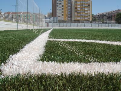 110630_campo_verderena07