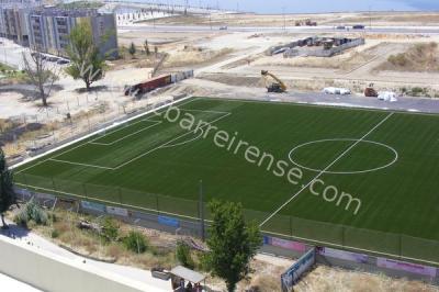 110630_campo_verderena18