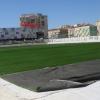 110602_campo_verderena01