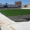 110602_campo_verderena02