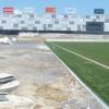 110630_campo_verderena01