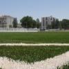 110630_campo_verderena08