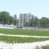 110630_campo_verderena09