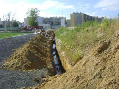 1107010_campo_verderena00