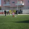 SAM_2253