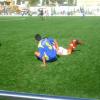 juniores12