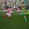 SAM_2564
