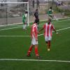 SAM_2729