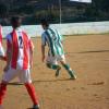 SAM_2073