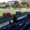 amora_x_barreirense_juv_a