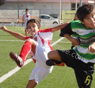 torneio_barreiro_copias_3_20121012_1168883658