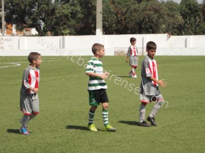 ea_sporting_moita_-_barreirense_11_20120913_1188818982