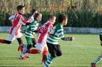 7_jornada_4_20130208_1085995423
