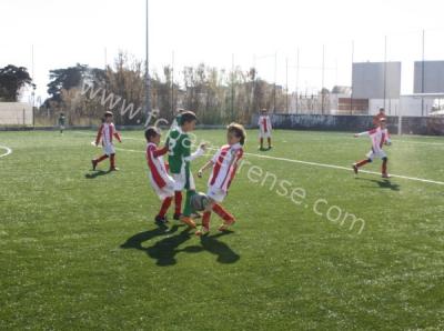 torneio_de_carnaval_01