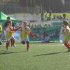 Tour_do_Leao_html_30ee06fa