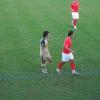 PICT0867