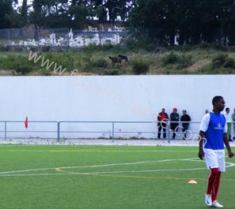 barreirense_l_evora00