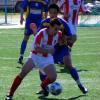 DSCF8249