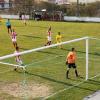 comercio_barreirense19