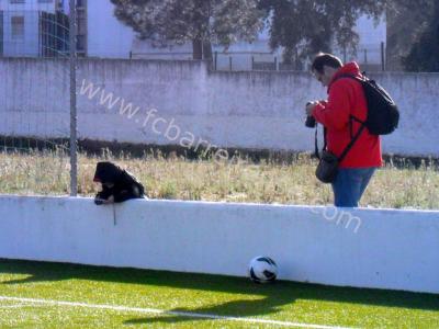 barreirense_-_sintrense_38_20130113_1039069628