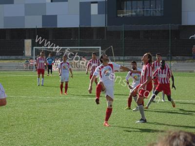 barreirense_x_palmelense_50_20150413_1407766729