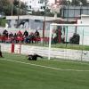 barreirense_x_castrense_57_20151214_1304110528