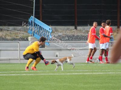 barreirense_x_pinhalnovense_70_20150914_1400977144