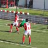 barreirense x fabril