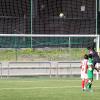 barreirense x fabril