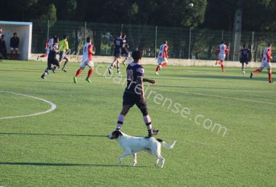 fcsetubal_x_barreirense