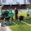 barreirense_-_sporting_23_20121118_1165414212