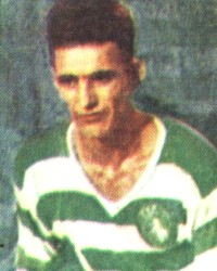 foto: pedro pireza
