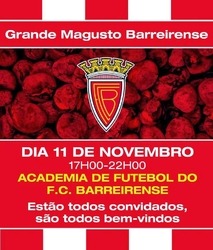 thumb_131111magusto