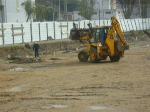 110104_verderena_thumbnail