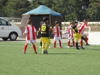 5encontropetizes_em_grandola05